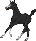 4cb62ad775_47301453_o2.gif