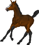 0a30c232d6_47301399_o2.gif