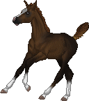 0a677a43c9_47301331_o2.gif