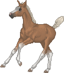 d7c2232994_47501226_o2.gif