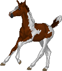 c8770e9278_47300979_o2.gif