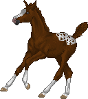 01a60f40e2_63320888_o2.gif