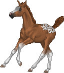 62450564eb_63320871_o2.gif
