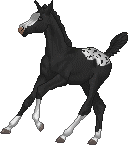 3b90192810_63320879_o2.gif